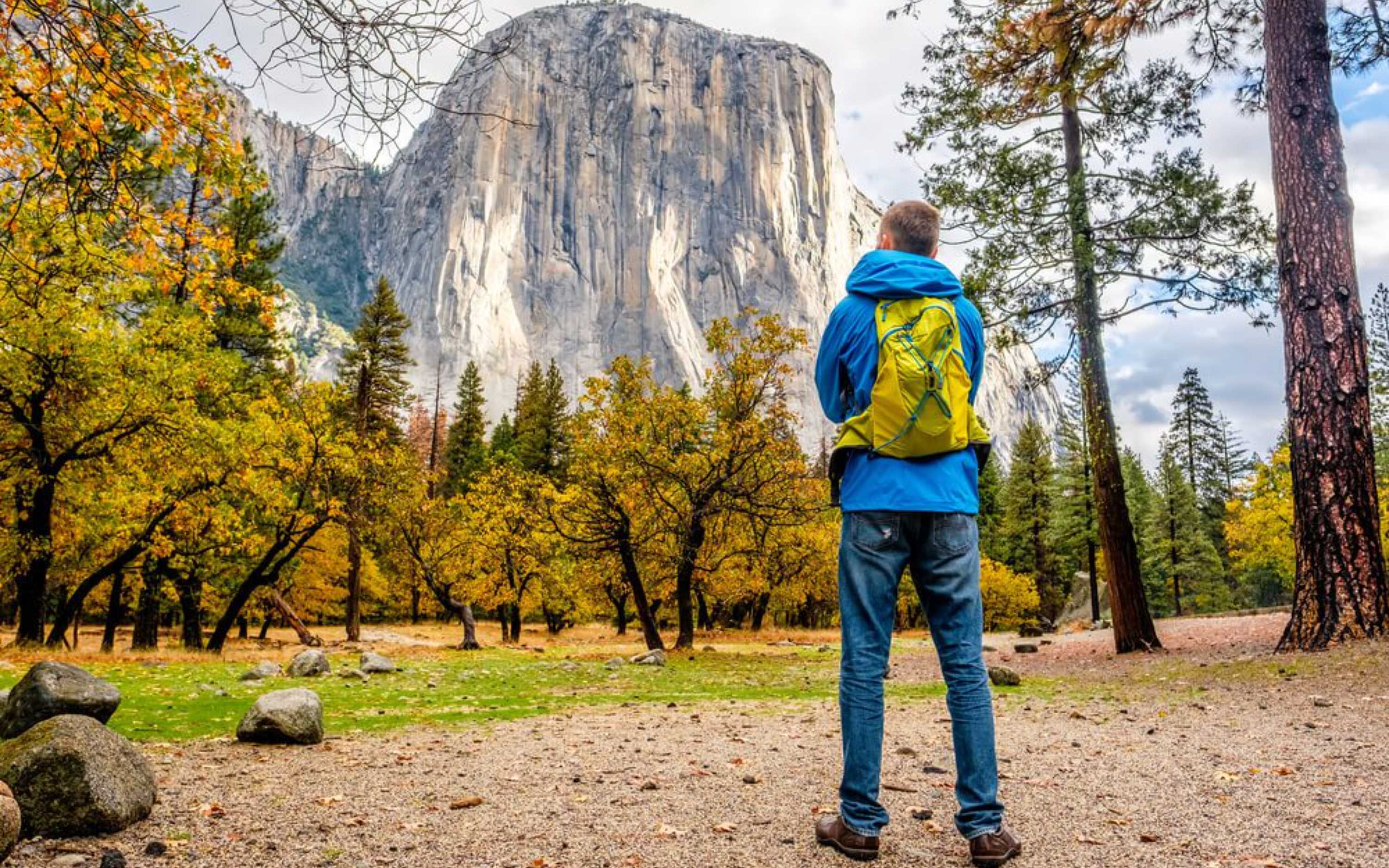 在草地上仰望酋長岩的陡峭花崗岩壁 在草地上仰望酋長岩的陡峭花崗岩壁