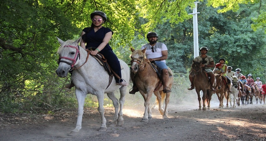 Marmaris Horseback Riding with Roundtrip Transfer