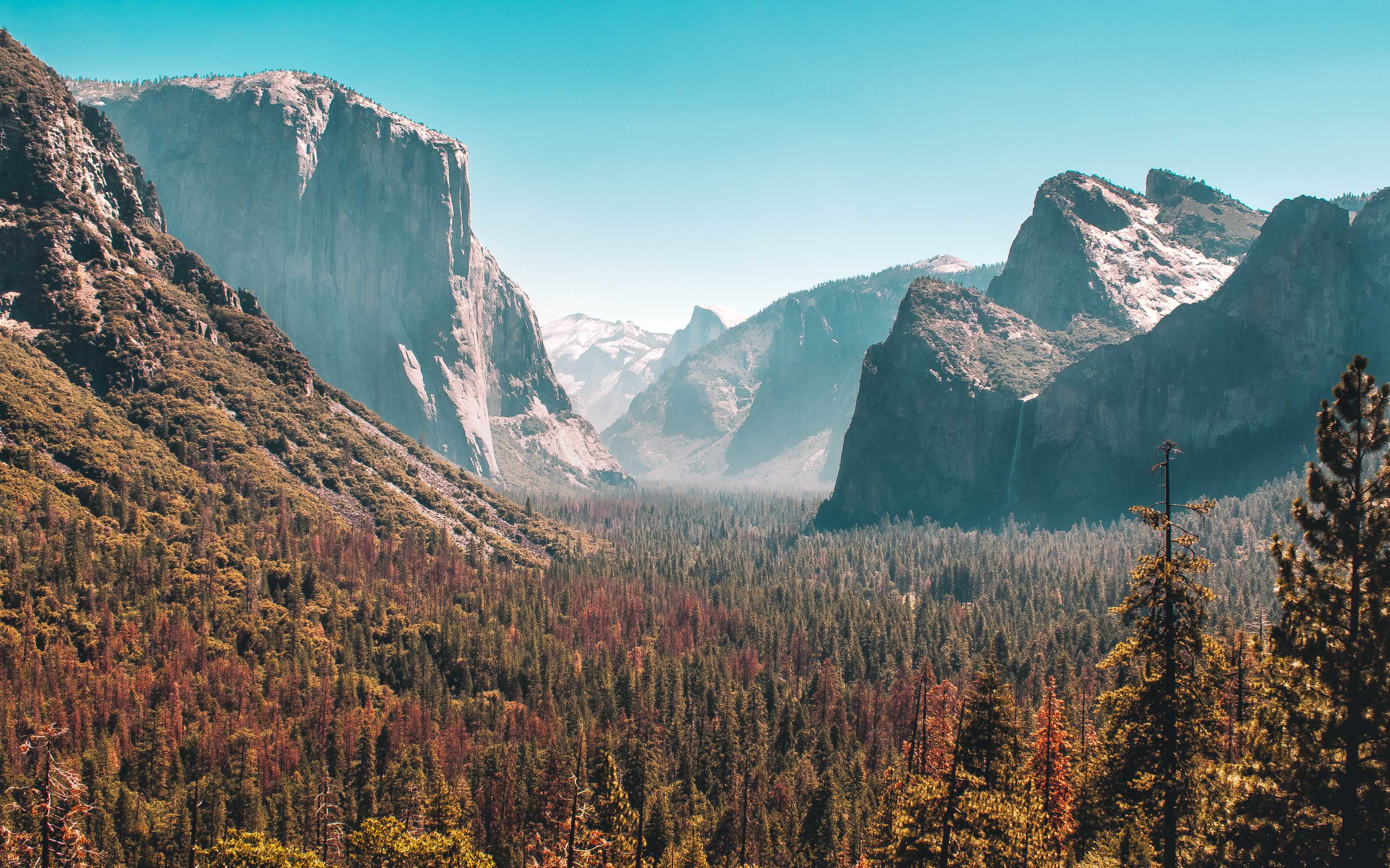 Crystal clear reflections of granite domes on the surface of Tenaya Lake Crystal clear reflections of granite domes on the surface of Tenaya Lake