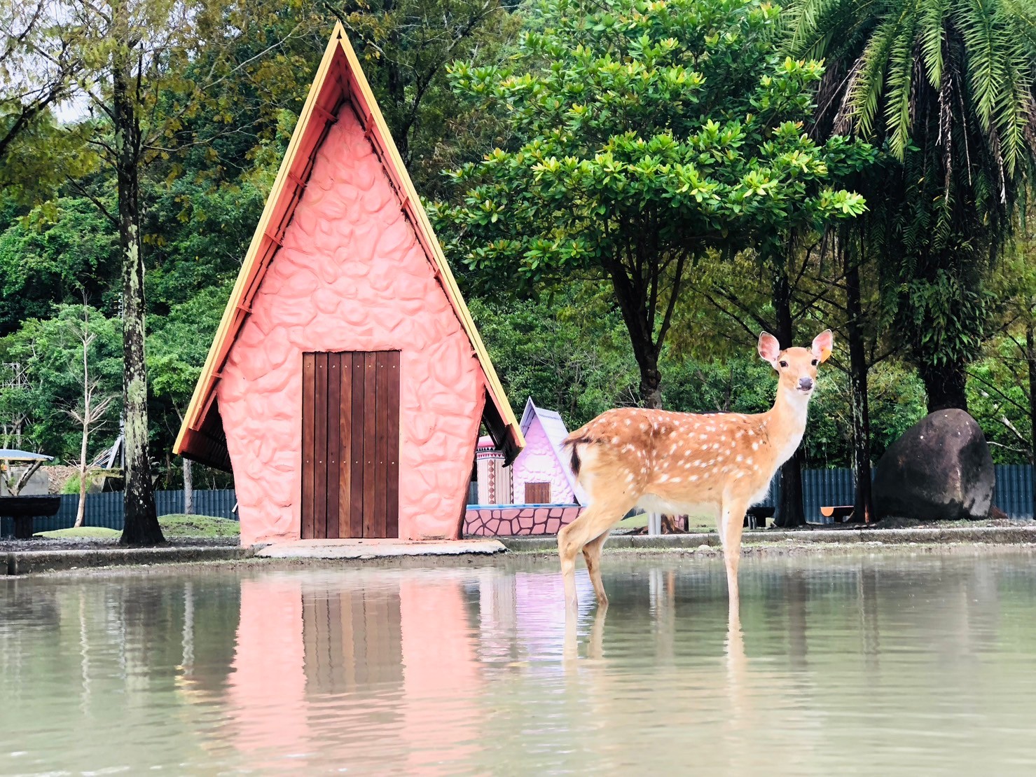 Changpi Lake Elf Village Cute Animal Area