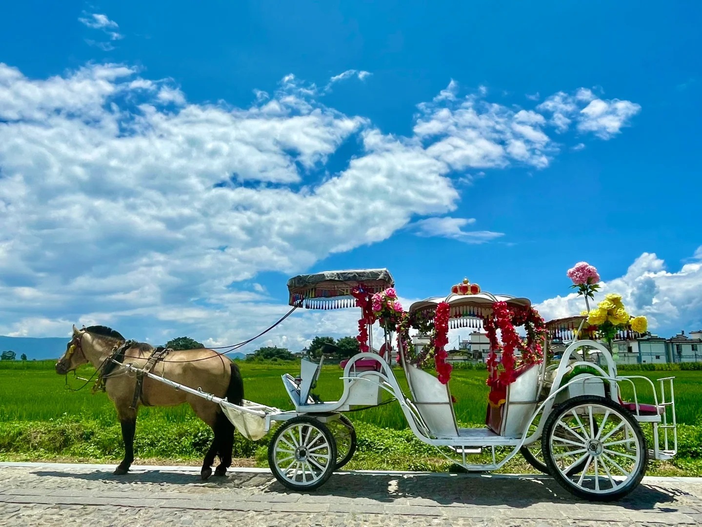 Go around the ancient town and enjoy the Bai architecture, wheat fields and other scenery along the way