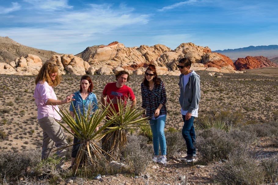 拉斯維加斯紅巖峽谷之旅和石峽谷四驅車探險 (Red Rock Canyon Tour and Rocky Gap 4x4 Adventure in Las Vegas)