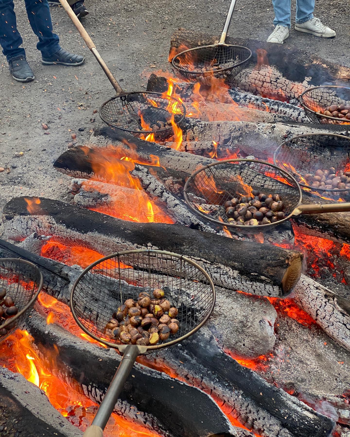 在青陽阿爾卑斯村享受溫暖舒適的烤栗子體驗。這是韓國傳統的冬季小吃! 在青陽阿爾卑斯村享受溫暖舒適的烤栗子體驗。這是韓國傳統的冬季小吃!