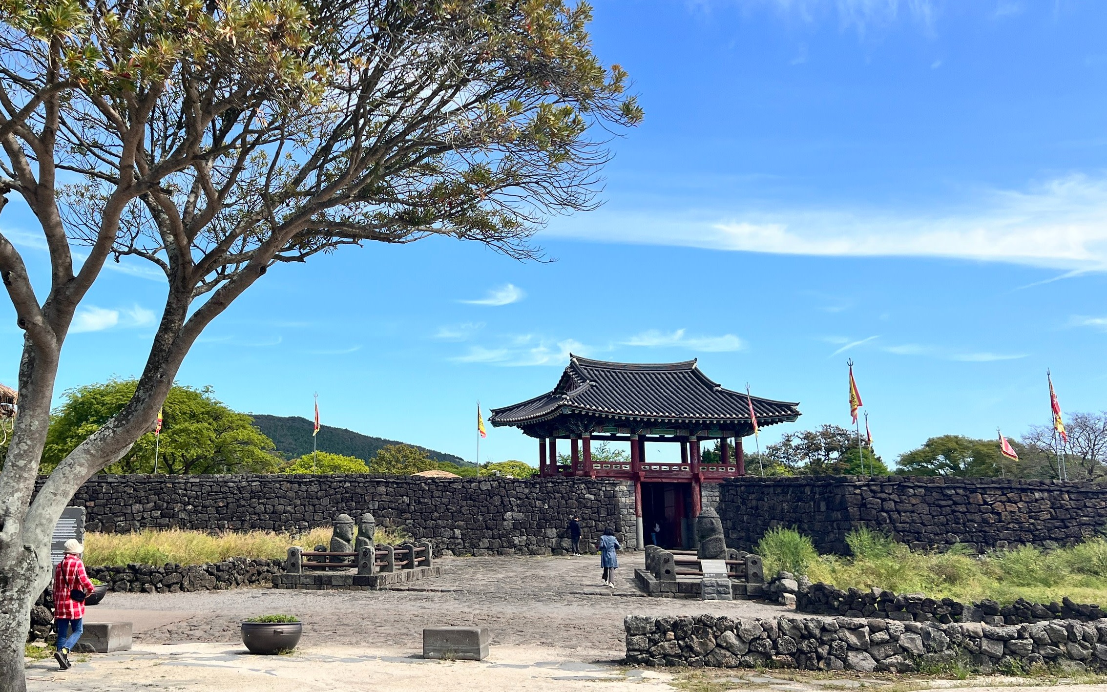 Jeju Seongsan Ilchulbong & Manjanggul Lava Tube Full-Day Tour with Women Diver Performance