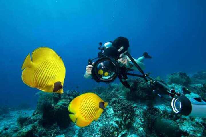 diving-sharm-elnaga