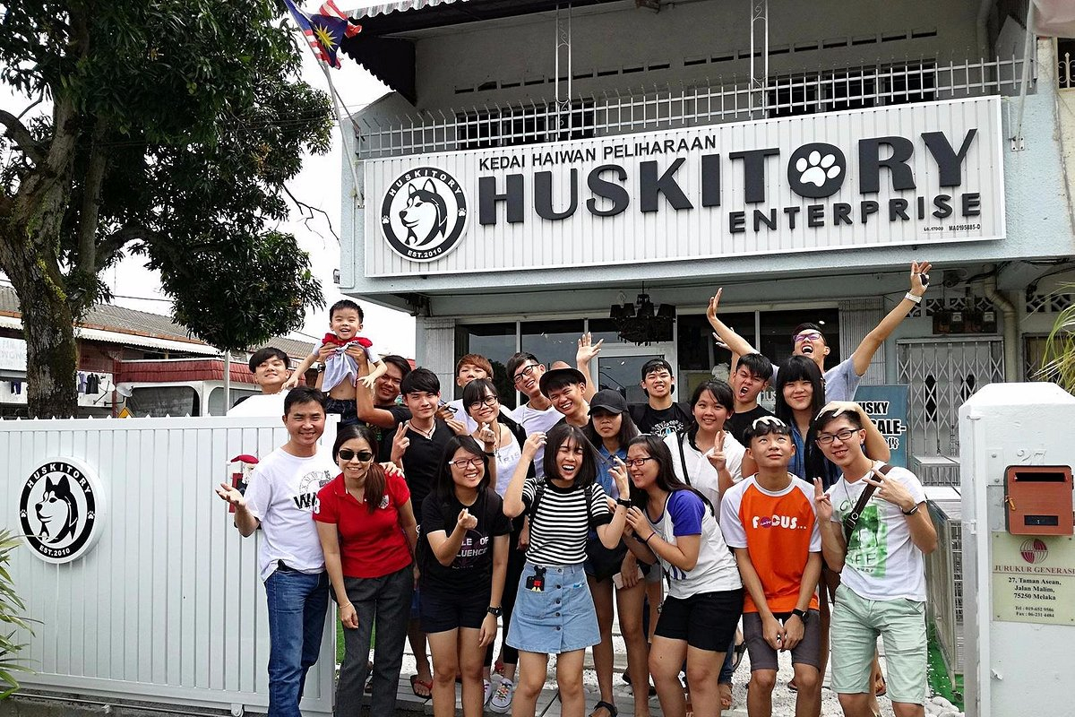 馬六甲哈士奇和柴犬體驗中心 (Siberian Husky and Shiba Inu Experience Centre in Melaka)