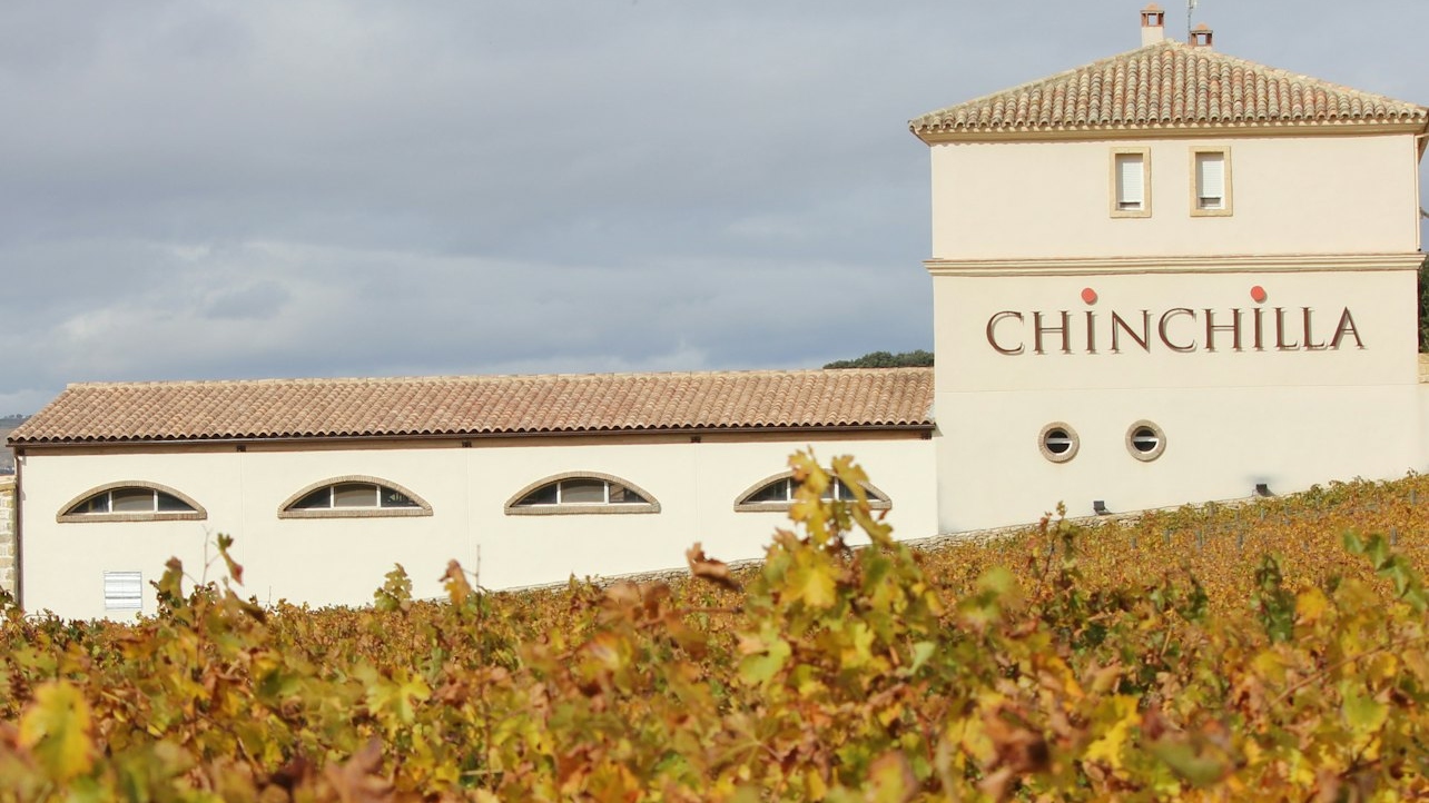 在多娜菲麗莎酒莊的葡萄園中漫步，欣賞迷人的景色和風景