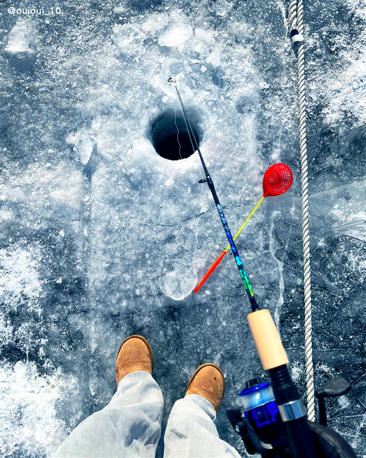 ❄️ 在華川山川魚冰釣慶典的清澈冰層中，捕獲新鮮鱒魚。
