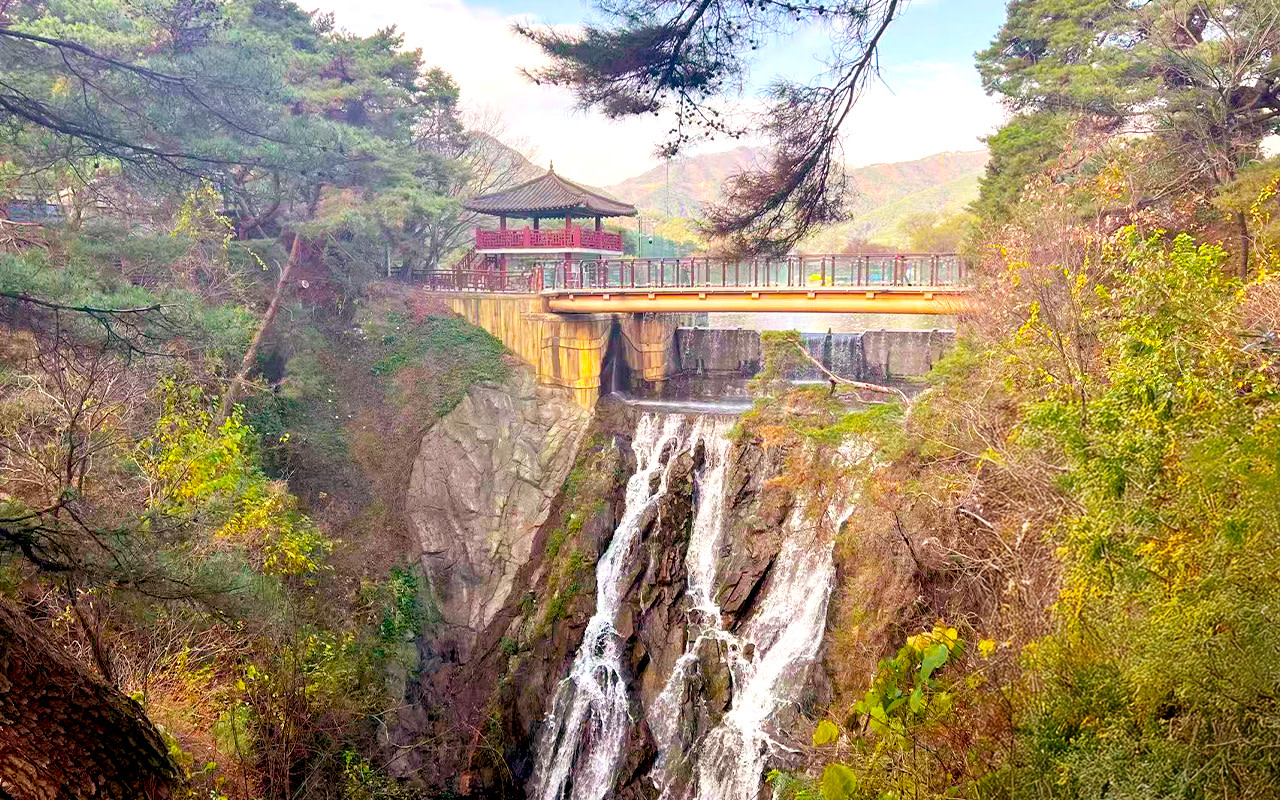 Seoul Cheongpung Cable Car & Uirimji Reservoir Full-Day Tour