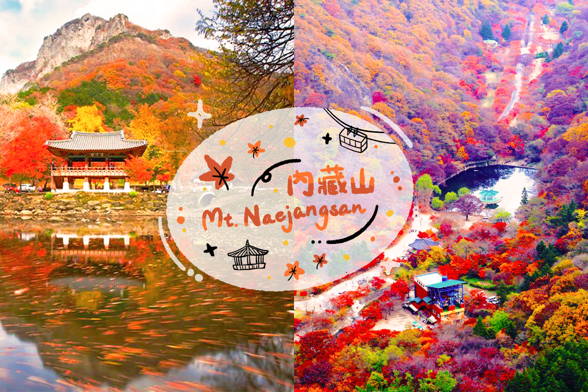 Naejangsan National Park - Autumn Maple One Day Tour from Seoul