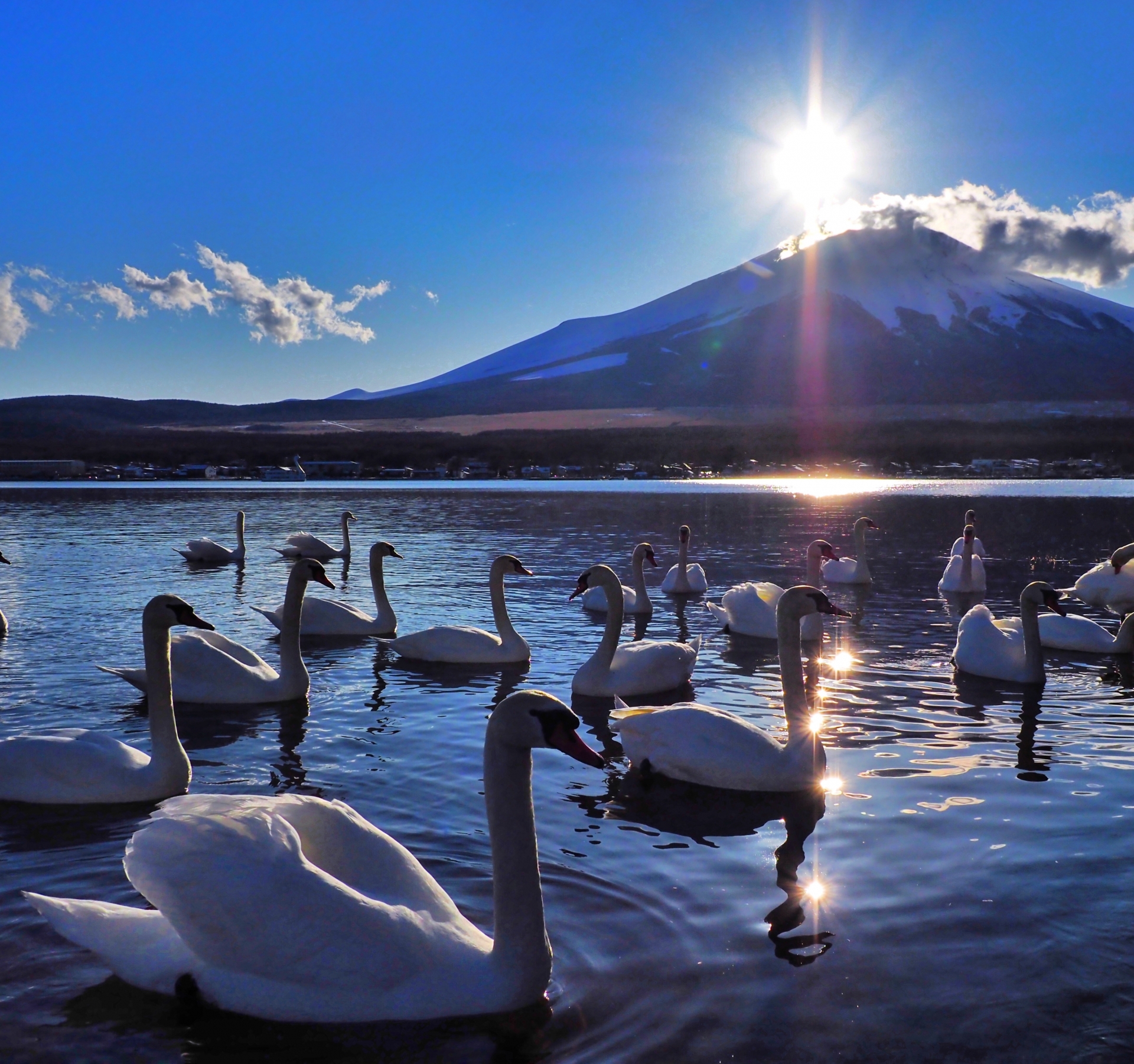 清晨陽光緩緩升起，照亮富士山山體與湖面，水面反射金色光芒。此時氛圍靜謐柔和，是攝影與靜靜欣賞自然的最佳時刻。