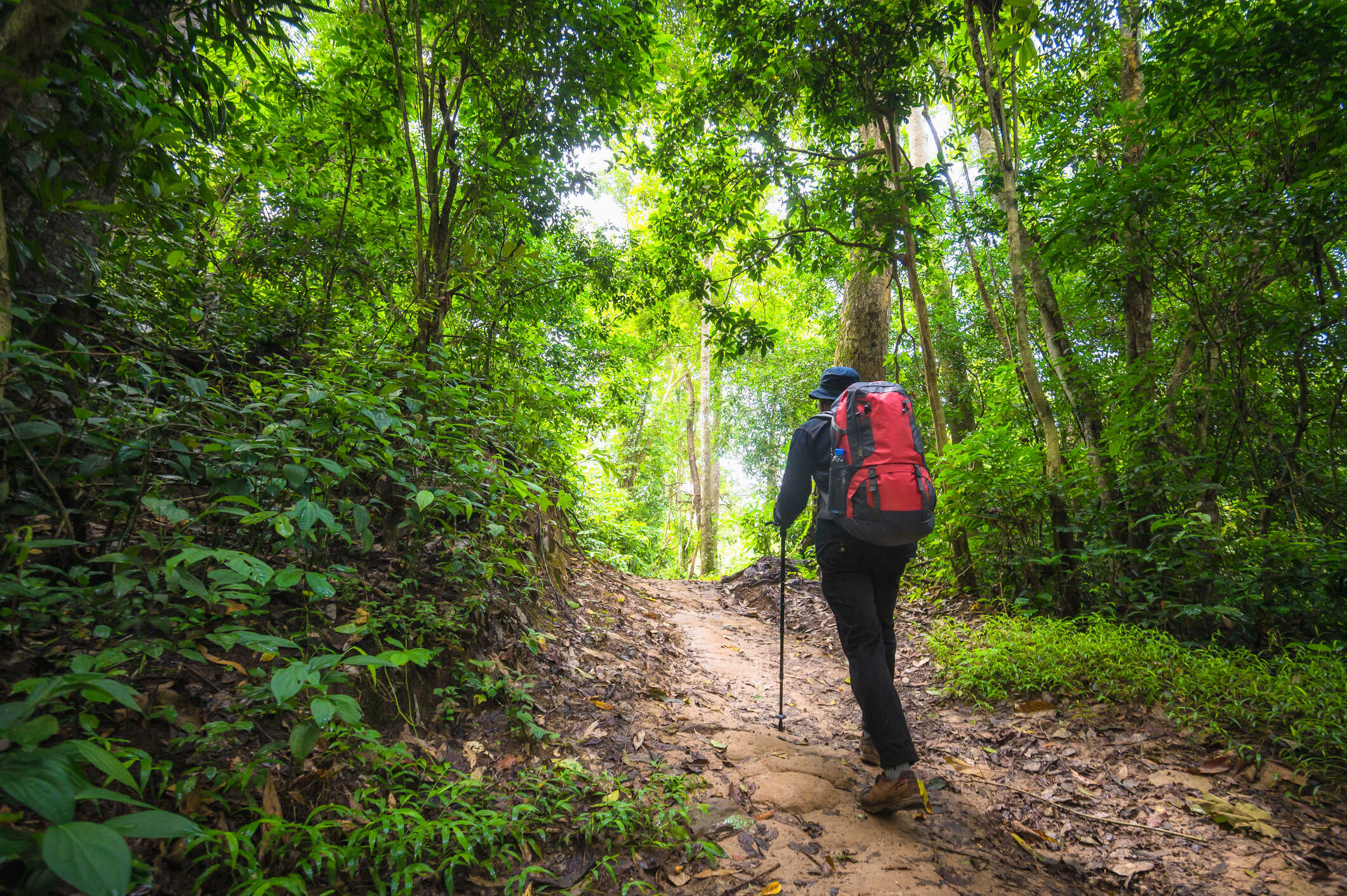 Bangkok Khao Yai National Park Full-Day Trekking Tour