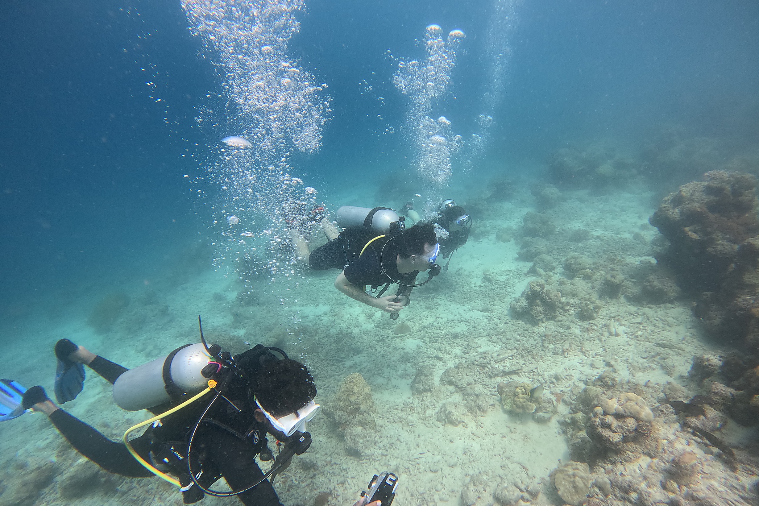 Fun Dives in Havelock Island for Certified Divers