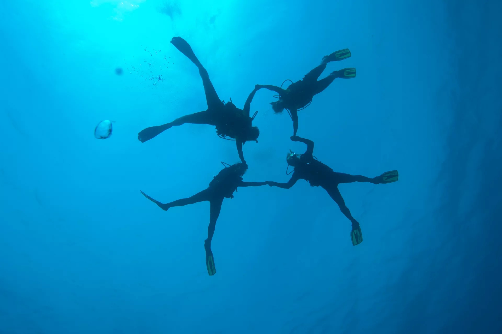 巴塞隆納的高氧之旅：PADI 中心的電子學習潛水課程