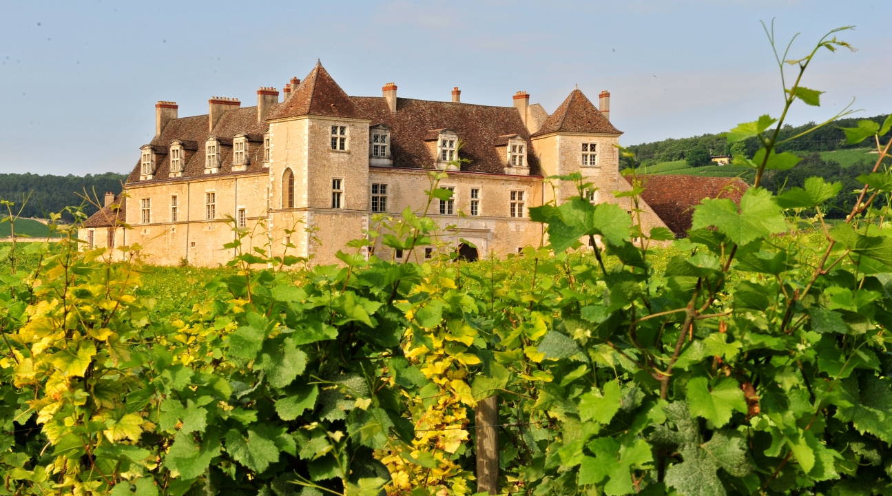 burgundy wine tours from beaune