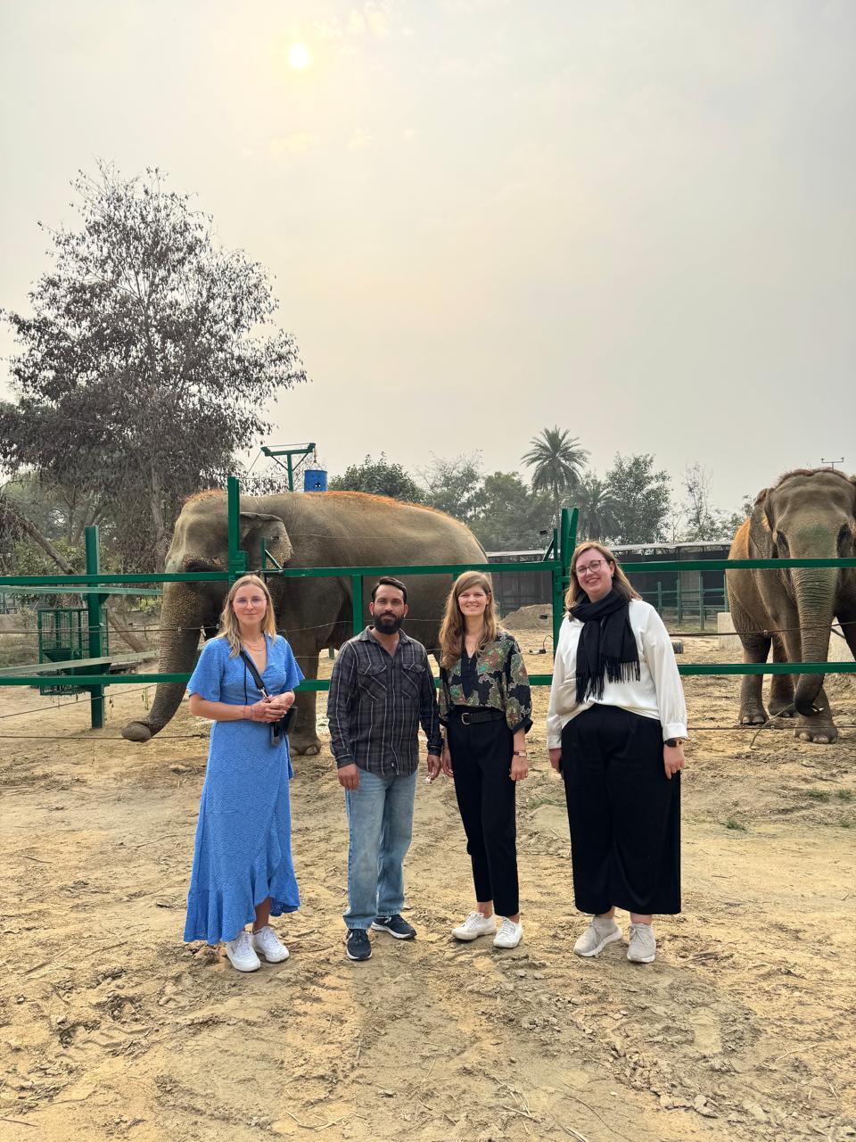 Explore The Taj Mahal With Elephant Conservation Rescue Centre