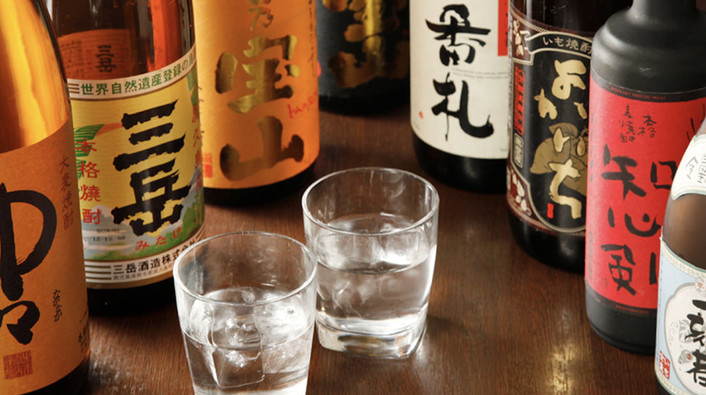 思い出横丁酒場 情熱ホルモン-居酒屋（新宿）