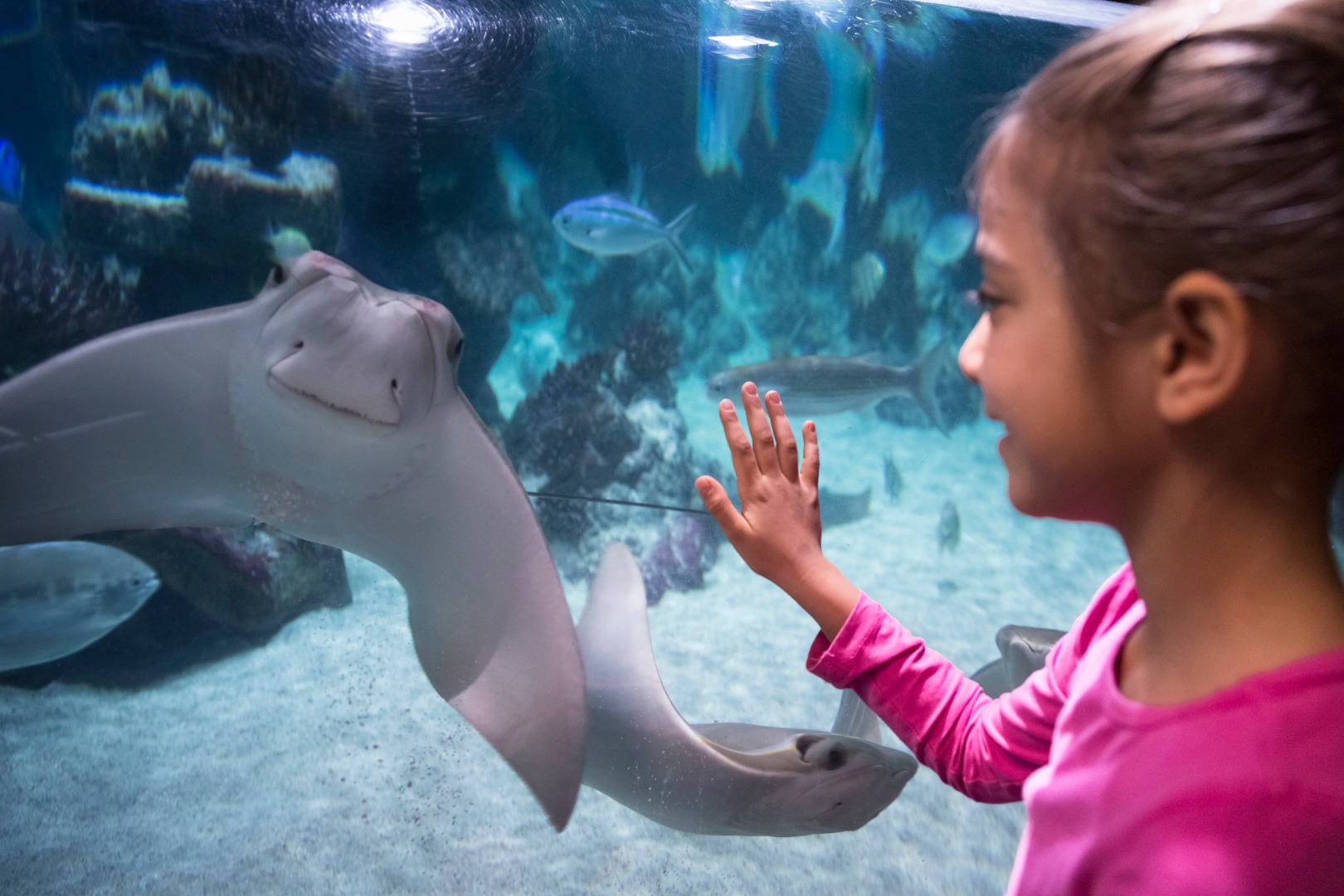 慕尼黑水族馆SEA LIFE门票