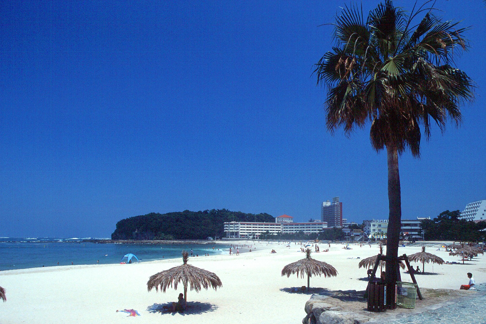 高野山 & 和歌山 & toretore市場 & 白良浜 & 三段壁千疊敷一日遊 (大阪/臨空城出發)