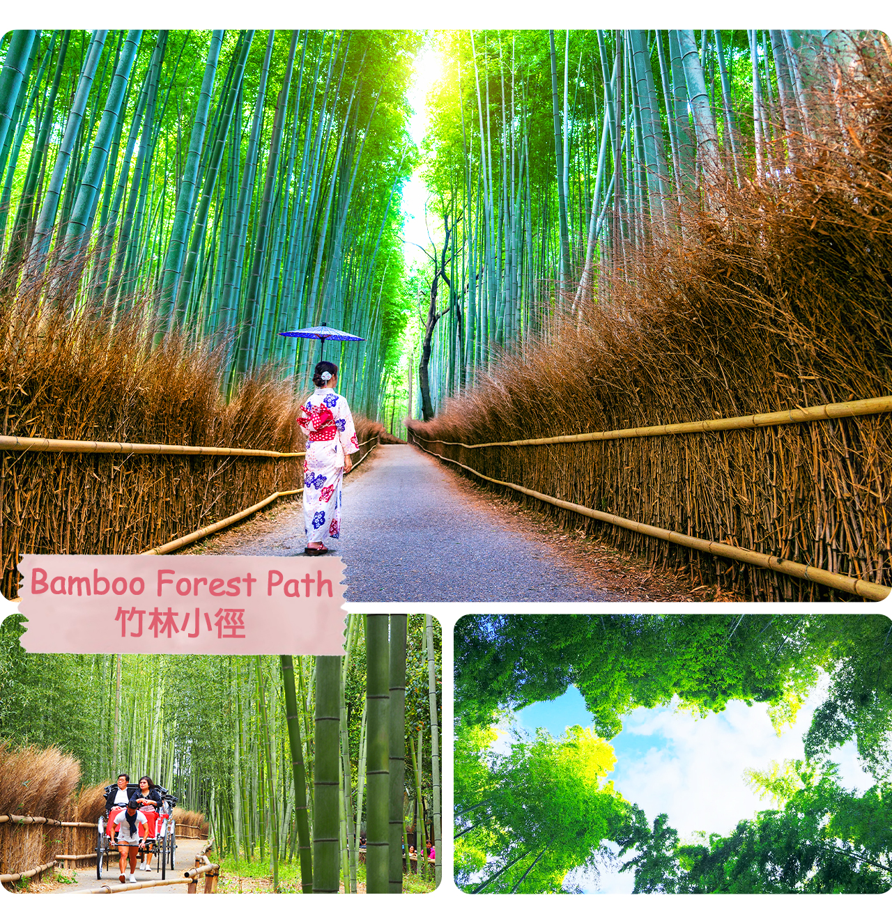 大阪·京都古城風情｜勝尾寺·美山茅葺之裡·嵐山一日遊｜大阪出發