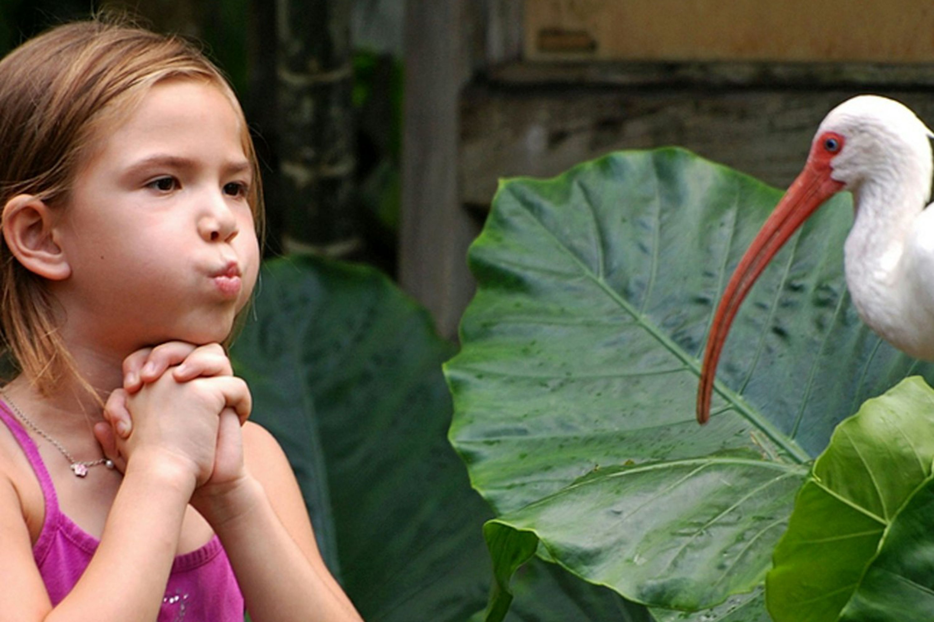 Delight in the beauty of nature and wildlife while learning about conservation efforts in the park