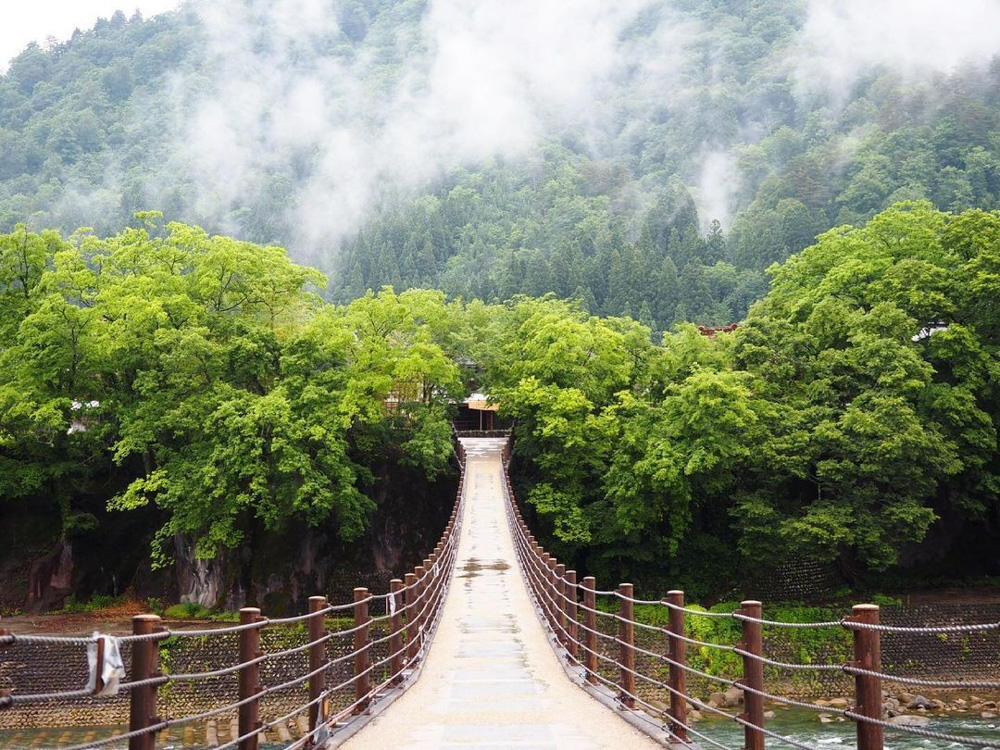 世界遺產白川鄉＆上高地or富山河口湖秘境2日遊（東京出發）