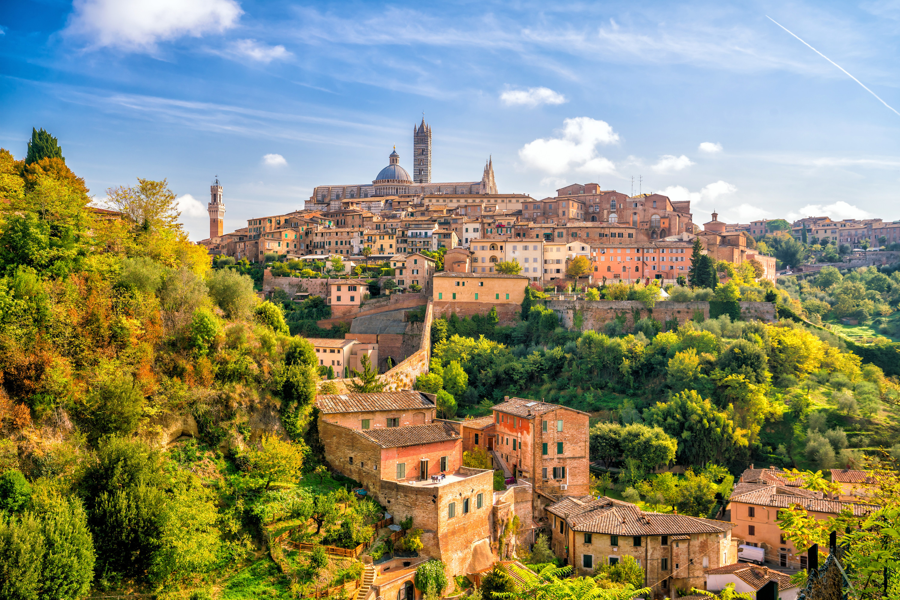 From Siena: Best of Tuscany Wines & Lunch in Montepulciano