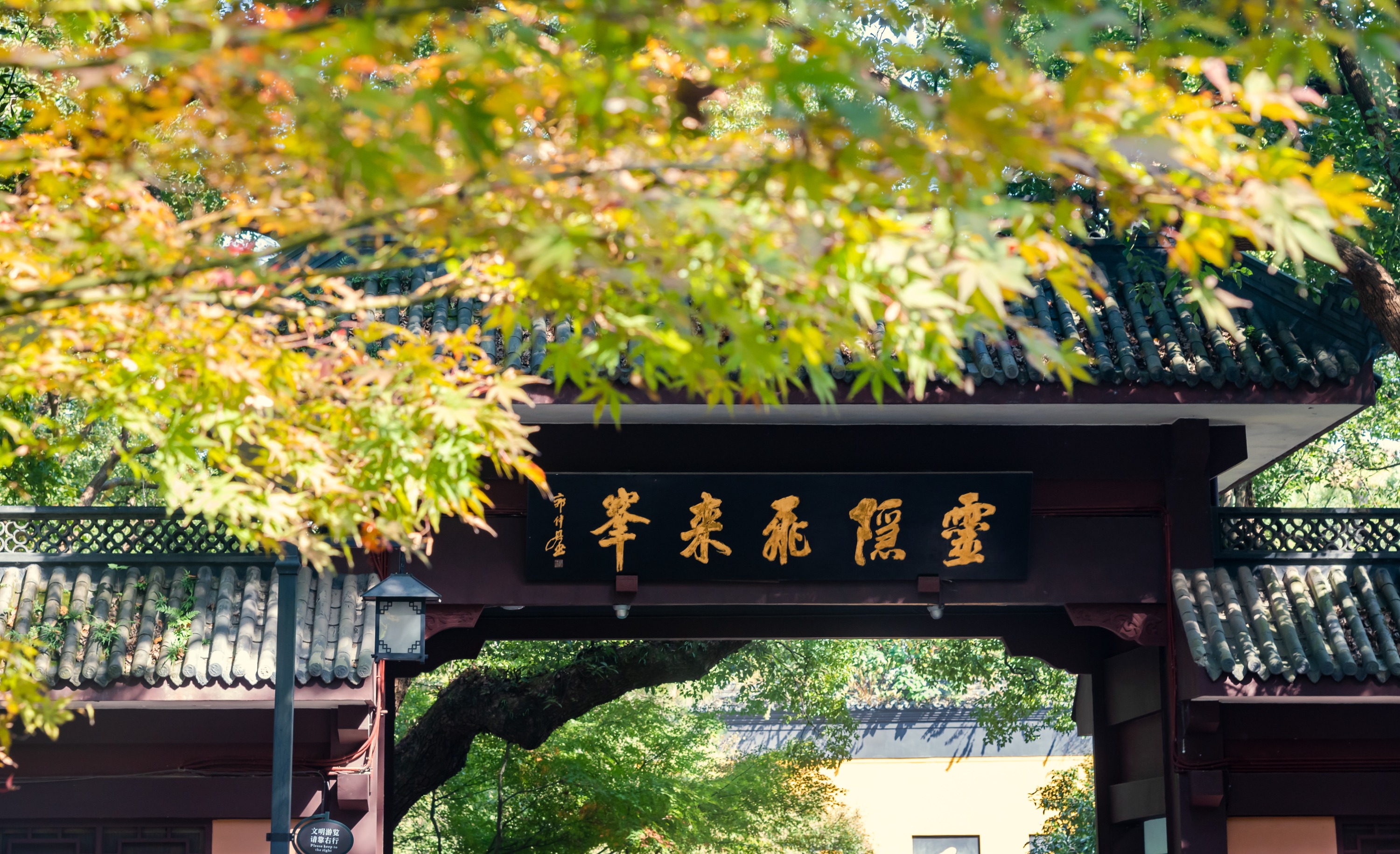 杭州靈隱寺&法喜寺&西湖 包車一日遊