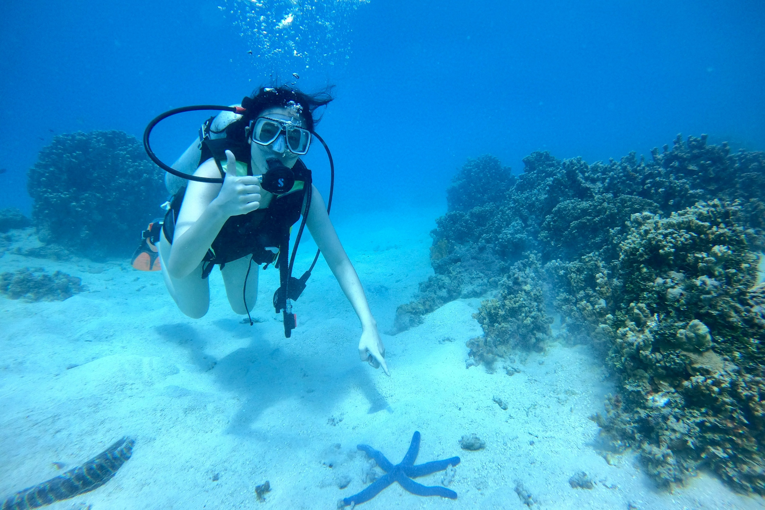 Scuba Diving and Standup Paddleboard Lesson in Guam