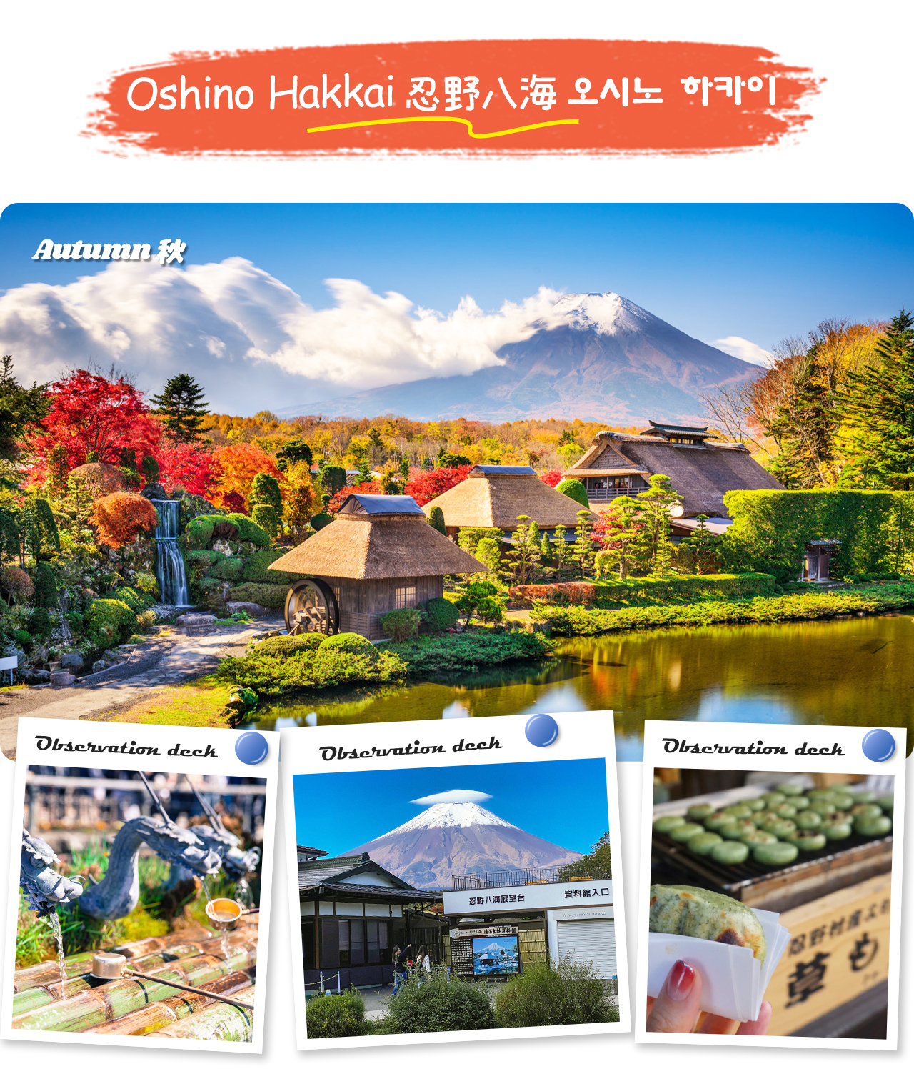富士山·箱根｜蘆之湖水上鳥居·山中湖·大涌谷「水陸空」探索之旅（贈箱根空中纜車）｜東京/新宿出發