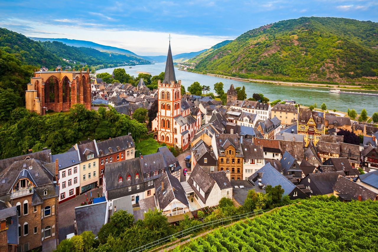 Private Tour from Frankfurt to Rhine Valley: Castles & Vineyards