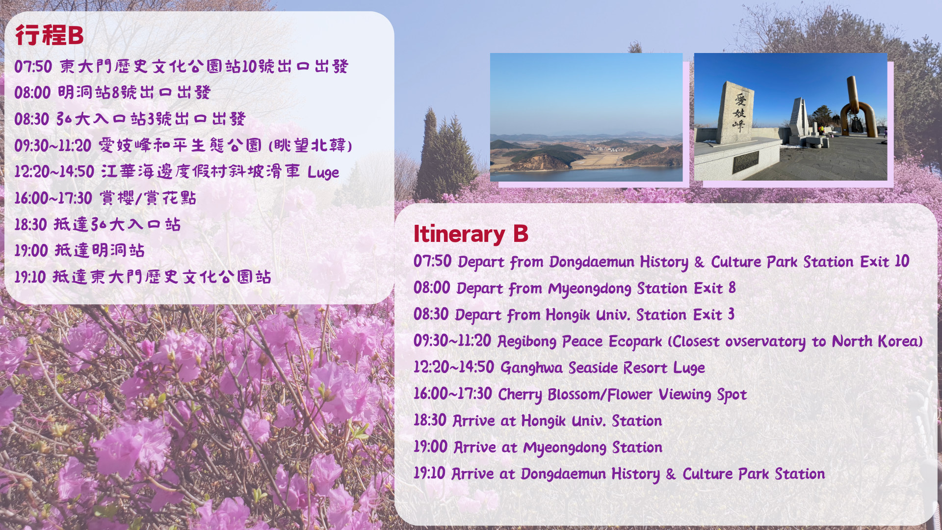 仁川春季限定之旅（首爾出發）