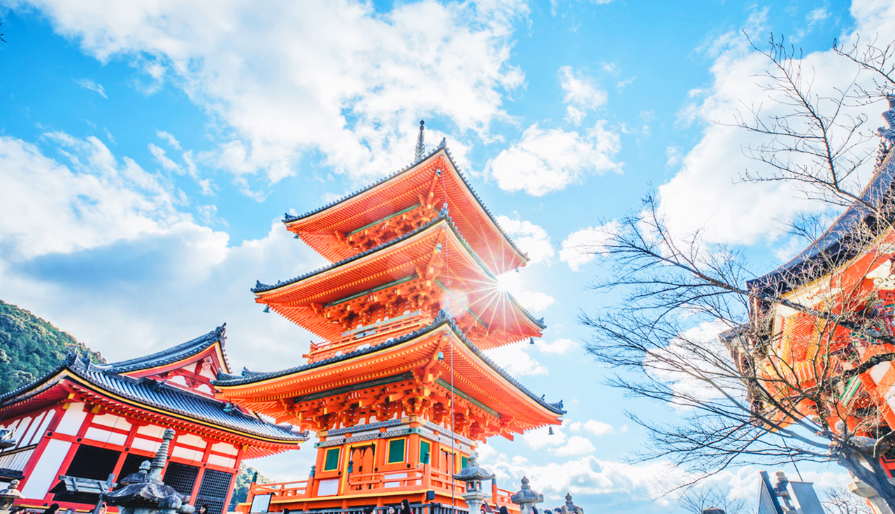 Kyoto Kinkakuji Temple, Kiyomizu Temple, Matcha Experience, Heian Shrine, and Rabbit Shrine Day Tour