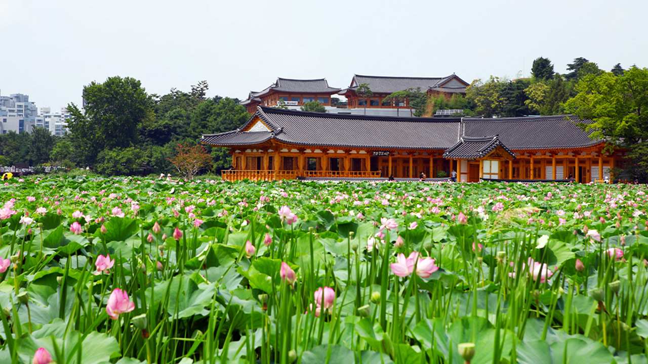 一座風景優美的木橋橫跨水面。每個季節都帶來不同的自然美景。 一座風景優美的木橋橫跨水面。每個季節都帶來不同的自然美景。