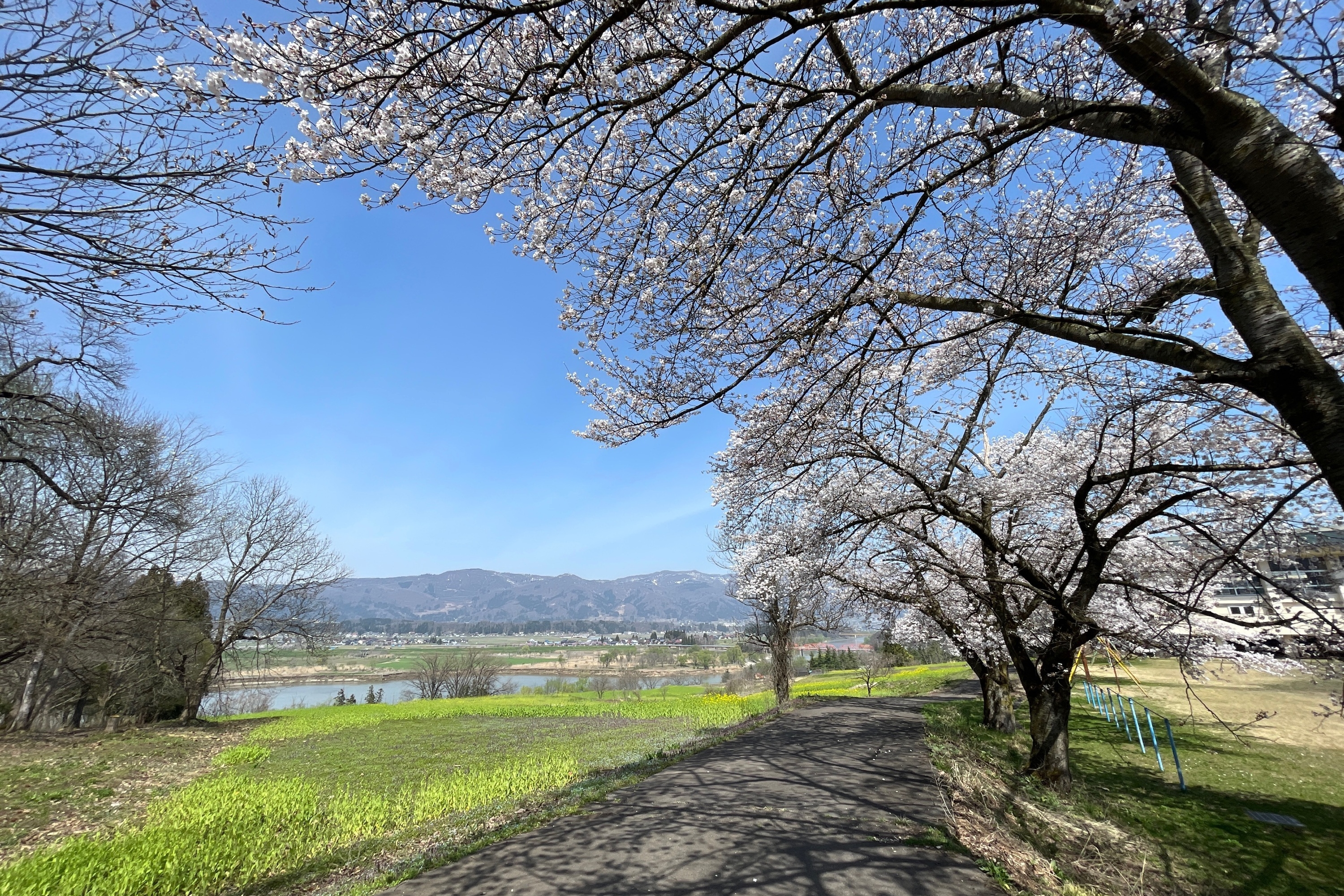 Take in the quiet, breathtaking view