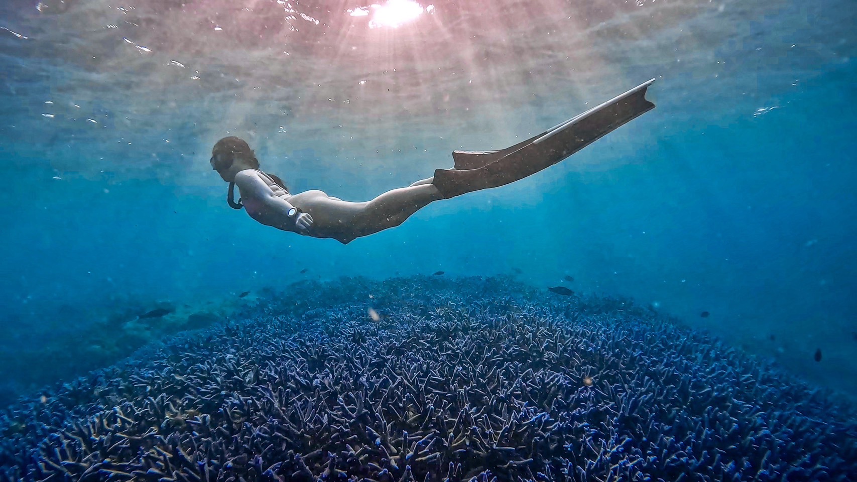 澎湖：浮潛・免證照自由潛水體驗