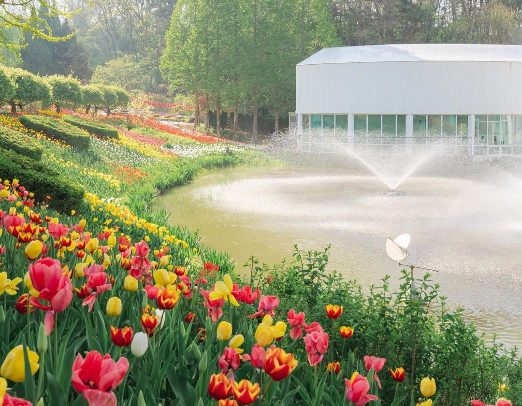 Pinnacle Land 擁有湖泊、噴泉和繽紛鬱金香花海交織而成的完美全景！在這個如童話般的夢幻之地，捕捉您人生中最精彩的畫面，妝點您的 Instagram 版面。