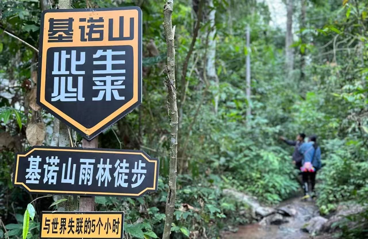 雲南西雙版納穿越雨林徒步1日遊 （基諾山+土著嚮導+野外生存+雨林大餐+榕樹樹降+溯溪+珍稀動植物辨認+6人小團）