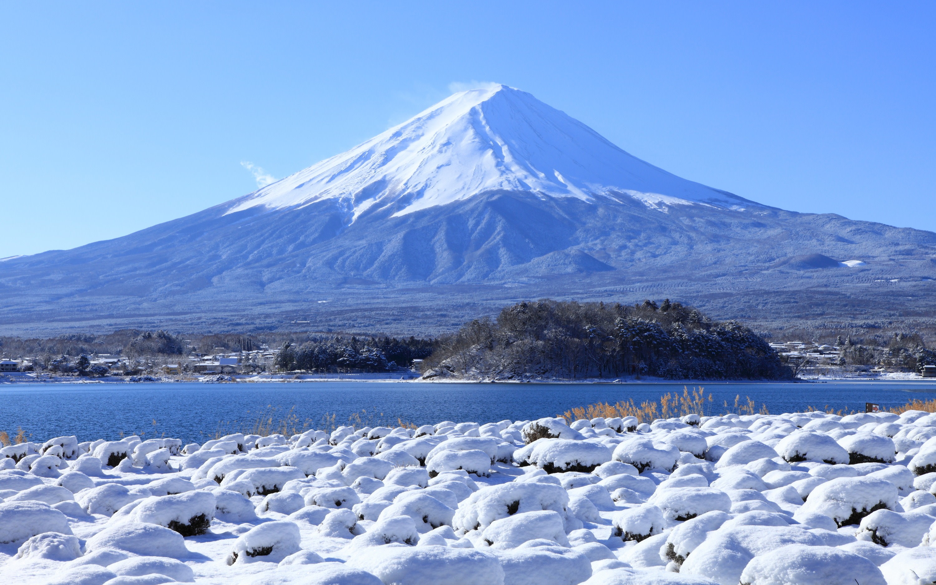 [Popular Mt. Fuji Instagram Spots] Mt. Fuji Famous Park & Hikawa Clock Shop & Lawson Convenience Store & Oshino Hakkai & Oishi Park Day Trip (Departing from Tokyo Station or Shinjuku Station)