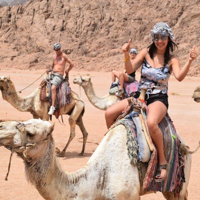 Marsa Alam: Desert Stargazing Tour with Camel Ride & Dinner