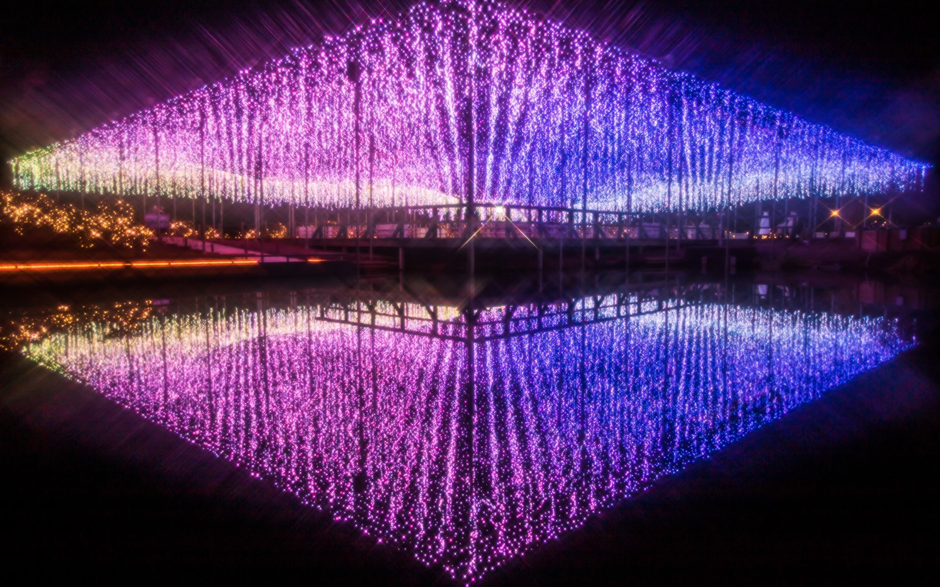 [Ibaraki/Tochigi Day Trip] Ashikaga Light Show, Seaside Torii Gate, Nakaminato Seafood Market, Hitachi Seaside Park Flower Field (Departure from Tokyo)