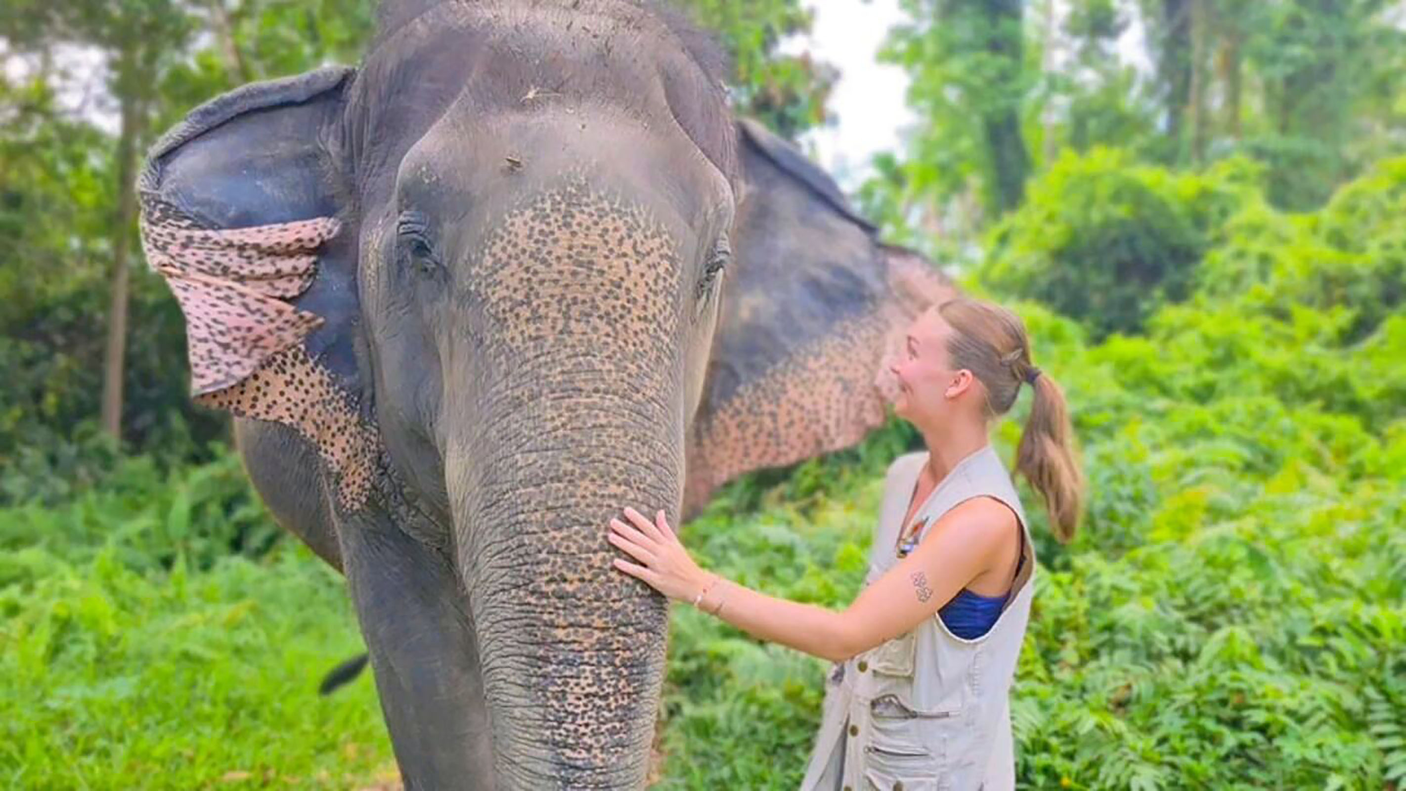 Elephant World Samui Experience