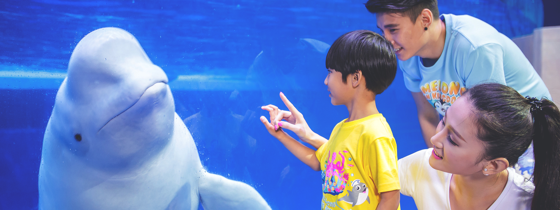 Chimelong Ocean Kingdom Park