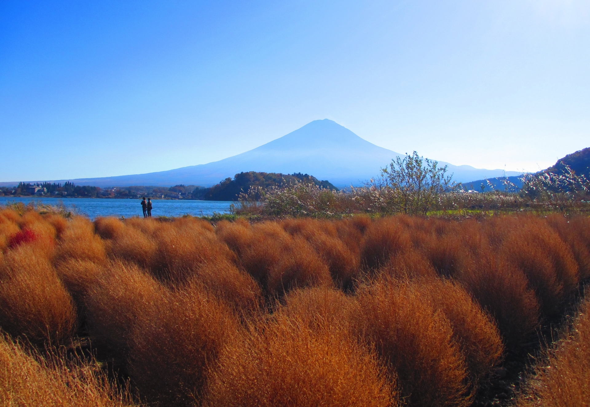 高級版富士山河口湖絕景一日遊！坐豪華巴士巡遊多個拍攝點，從不同角度欣賞令人震撼的富士山美景！包含神戶牛涮涮鍋（品川/新宿出發）