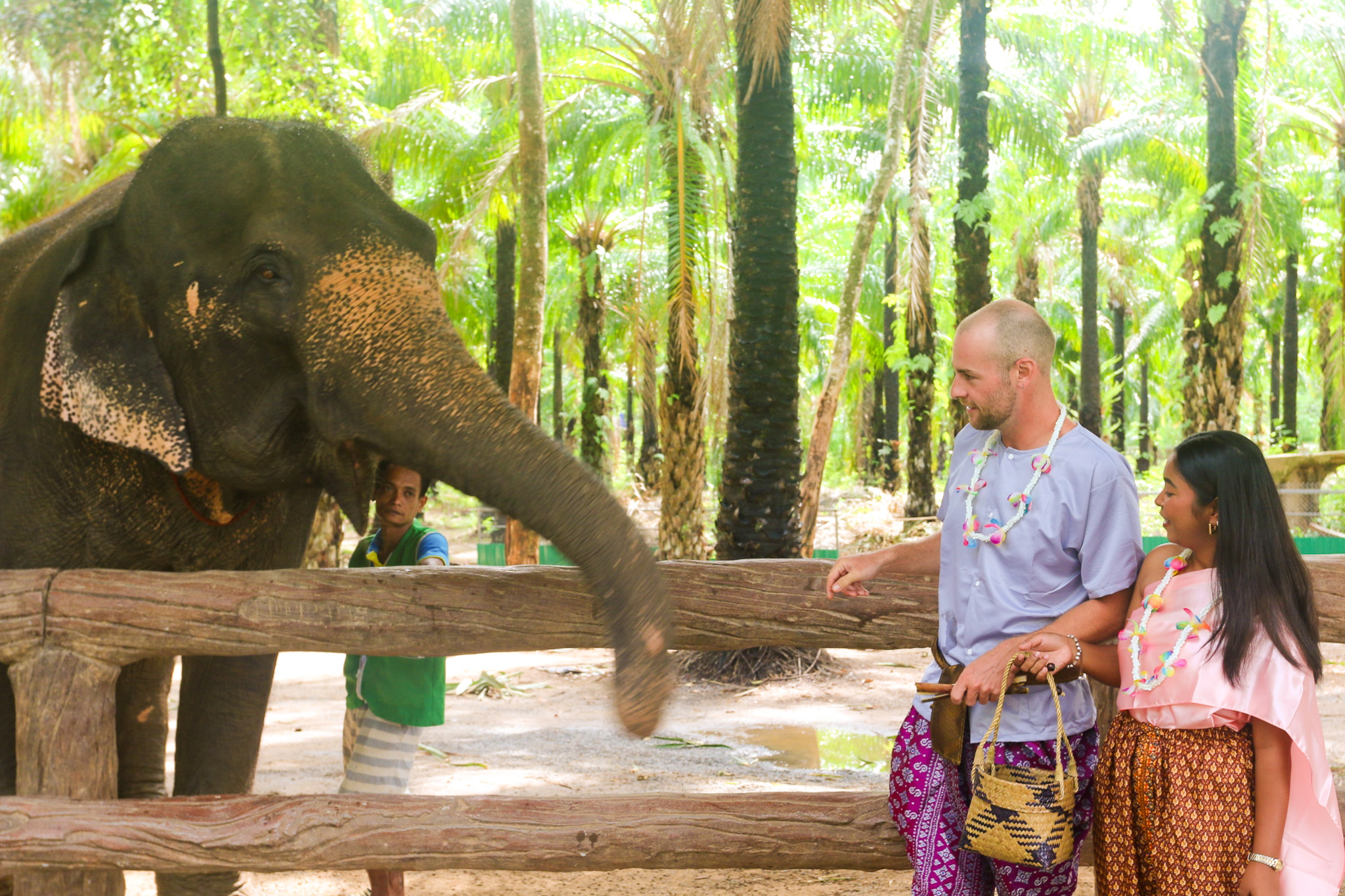 甲米大象保護區（Krabi Elephant Shelter）體驗