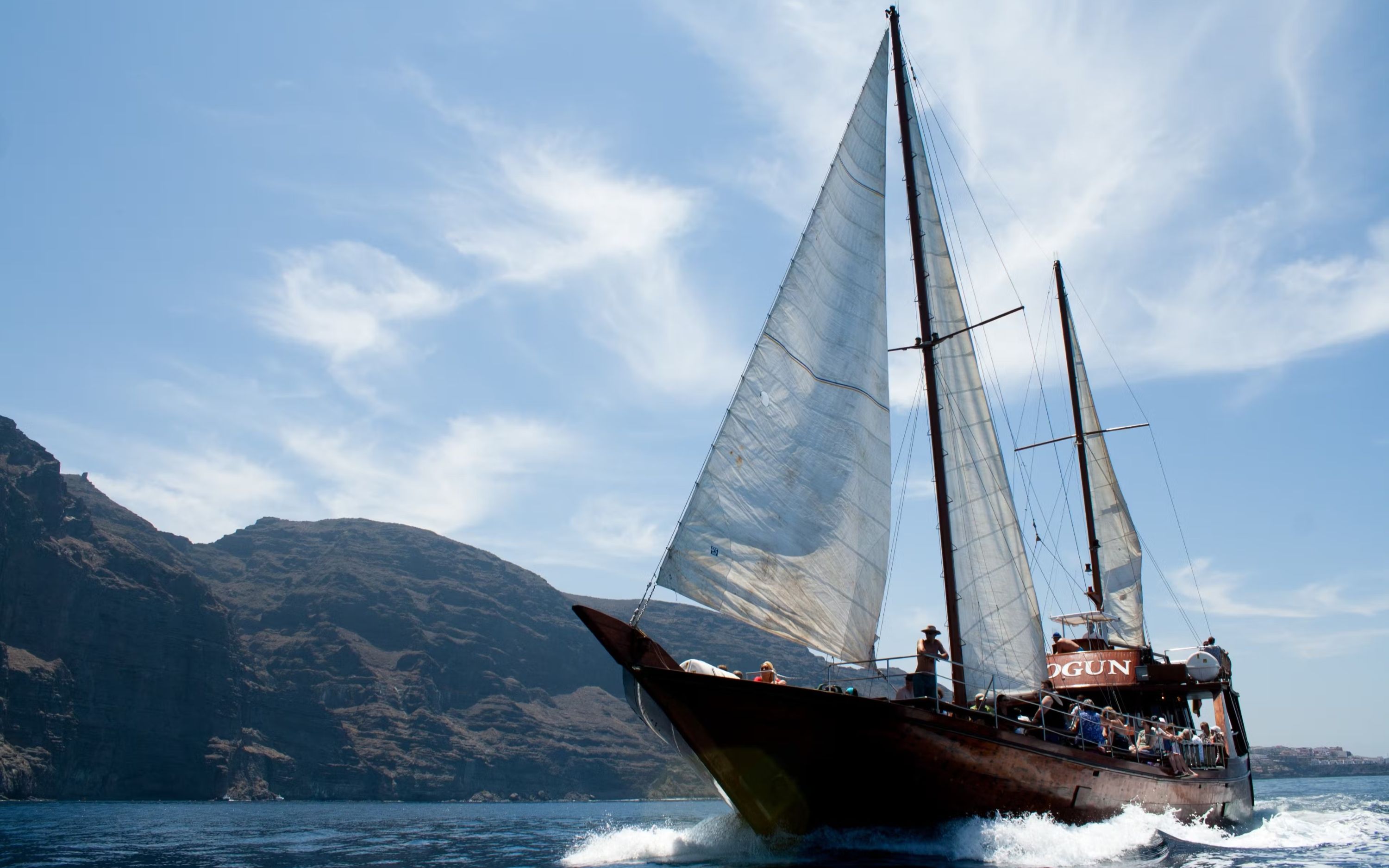 Los Gigantes whale watching cruise tour with lunch and transfer