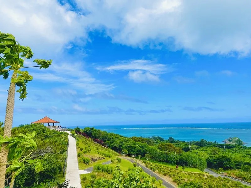 [Okinawa Ishigaki Island Day Tour] Lunch included, 3 boarding points to choose from