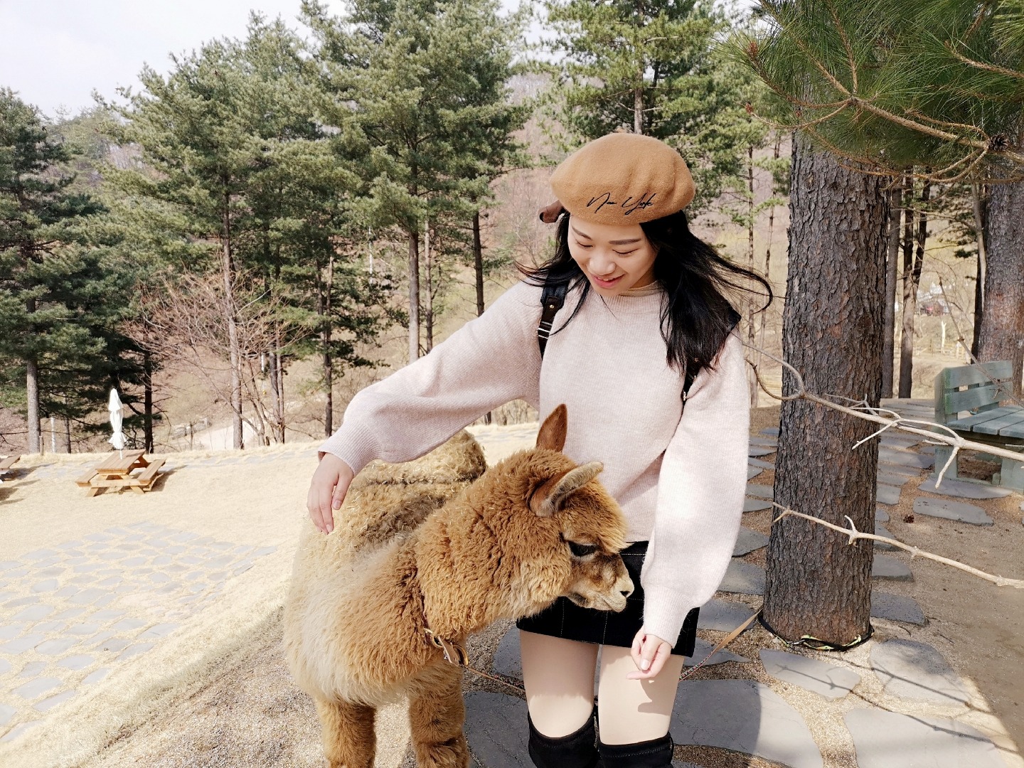 草泥馬樂園是位於洪川的風景優美動物園，距離首爾僅需短暫車程。您可以在此美麗的自然環境中，與草泥馬一同散步、餵食及擁抱。這個迷人的目的地非常適合家庭、情侶、朋友和動物愛好者。