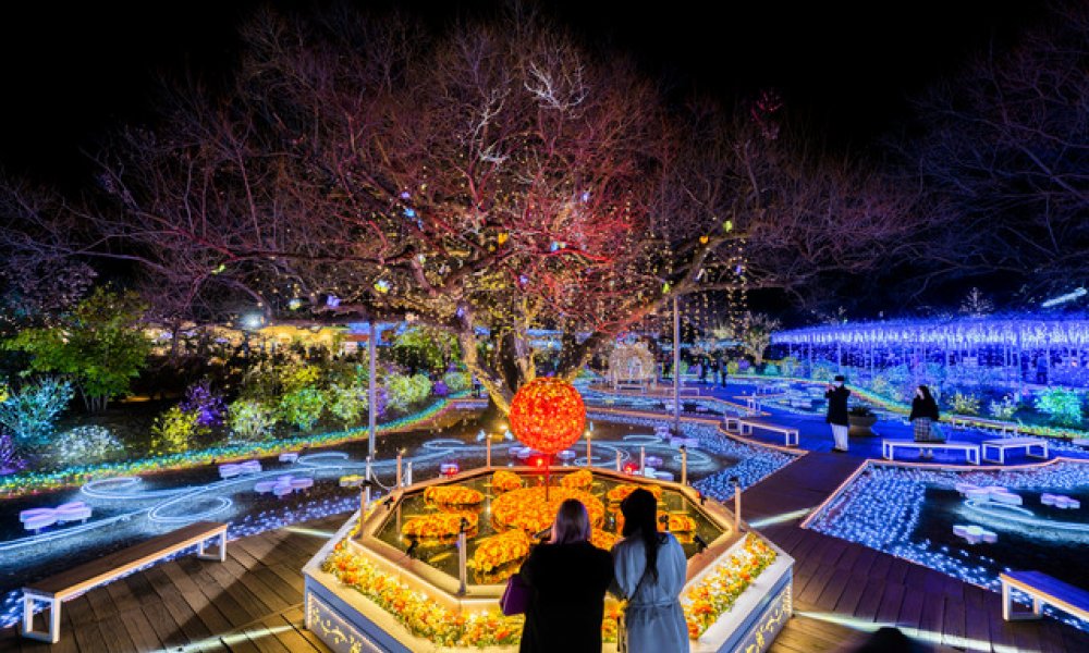 Nikko World Heritage Toshogu Shrine & Ashikaga Flower Park Illumination