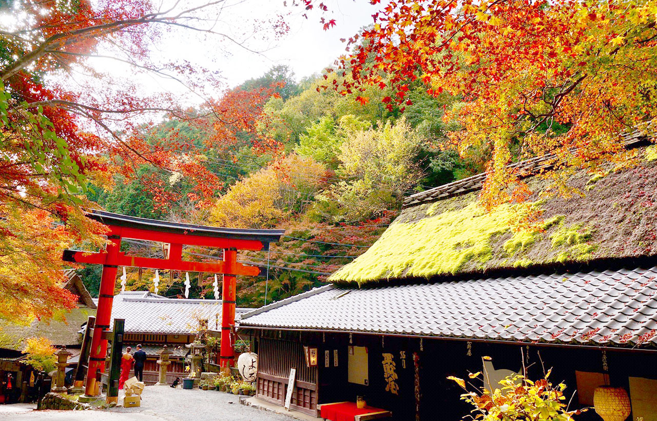 嵯峨鳥居本是日本京都市右京區的一條歷史老街，因小鎮主街盡頭是愛宕神社的第一道硃紅色鳥居而得名。